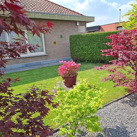 B&B Sogni D'Oro Lovendegem Εξωτερικό φωτογραφία