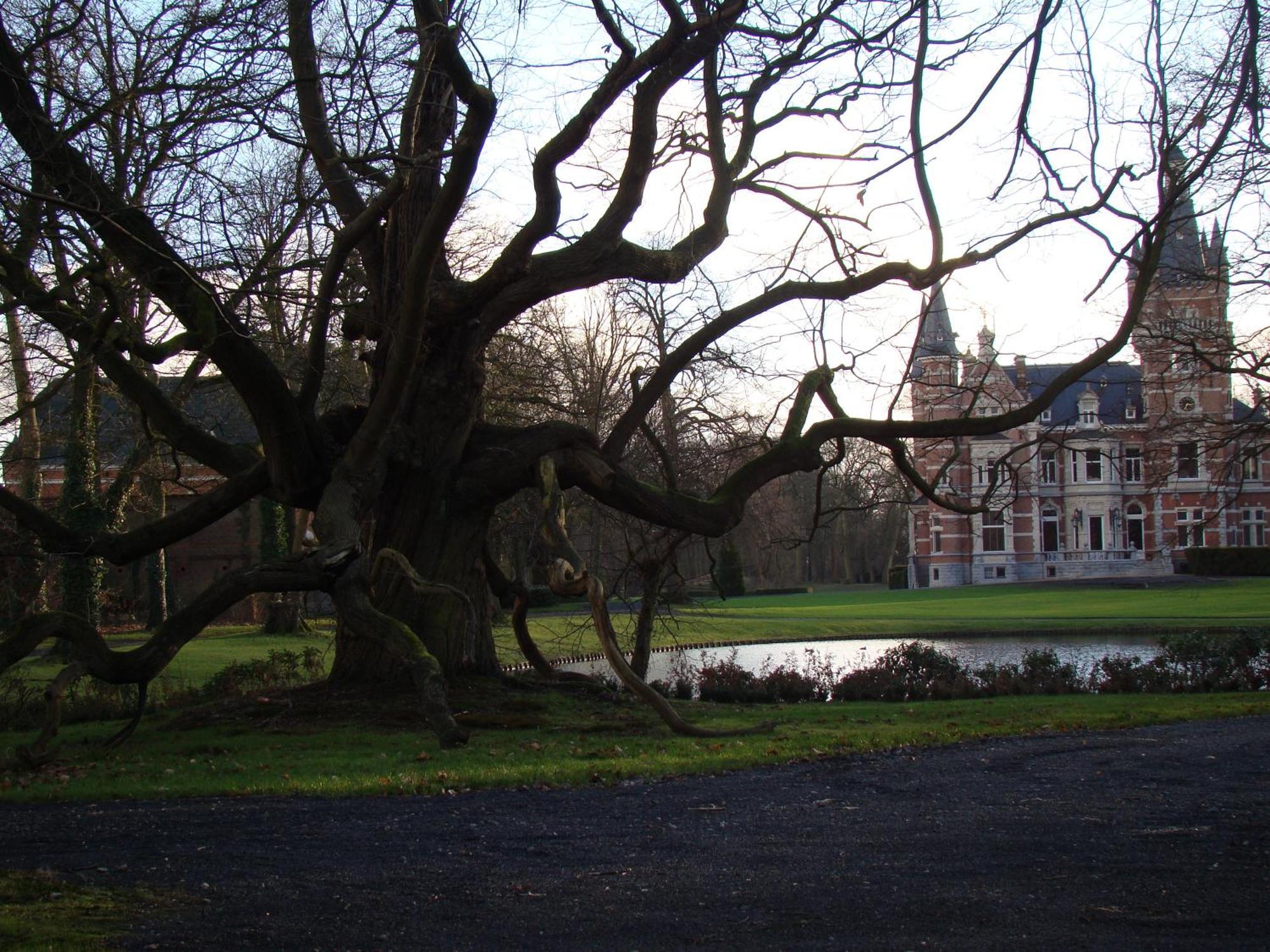 B&B Sogni D'Oro Lovendegem Εξωτερικό φωτογραφία
